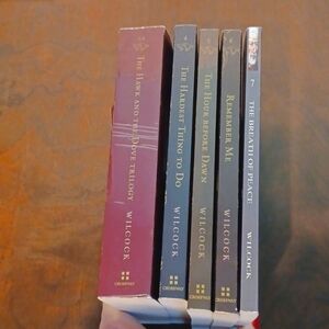 7 books - Historical Fiction Hawk & Dive Series Penelope Wilcox
